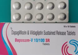 Dapacam-v 10/100 SR